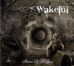 Wakeful : Blinded by the Horror